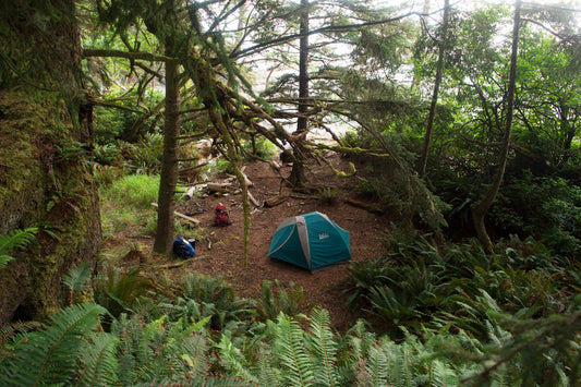 Discover Your Perfect Campsite A Comprehensive Guide