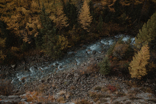 Seasonal Travel Tips Perfect Your Year-Round Adventures